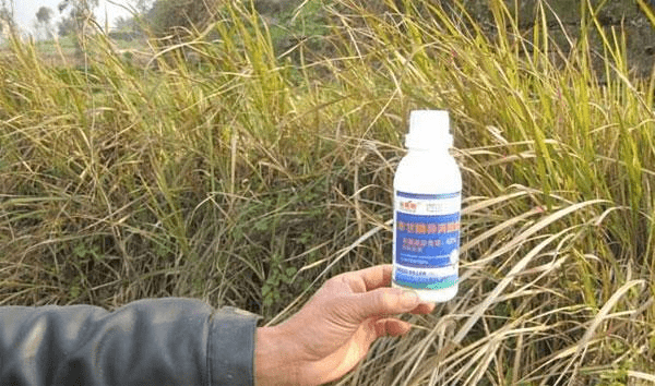 草甘膦消泡劑應用場景圖