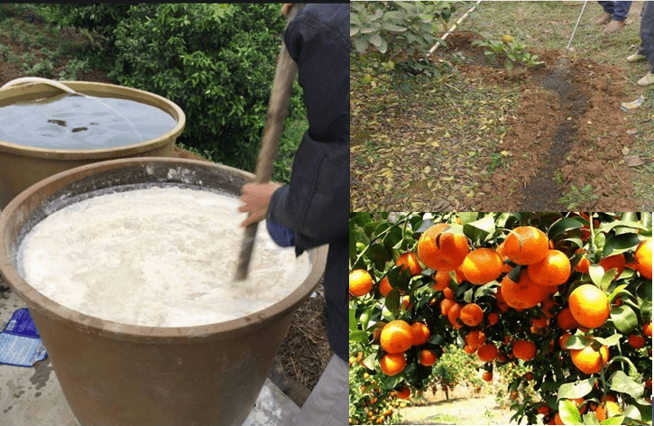 化肥消泡劑應用場景圖